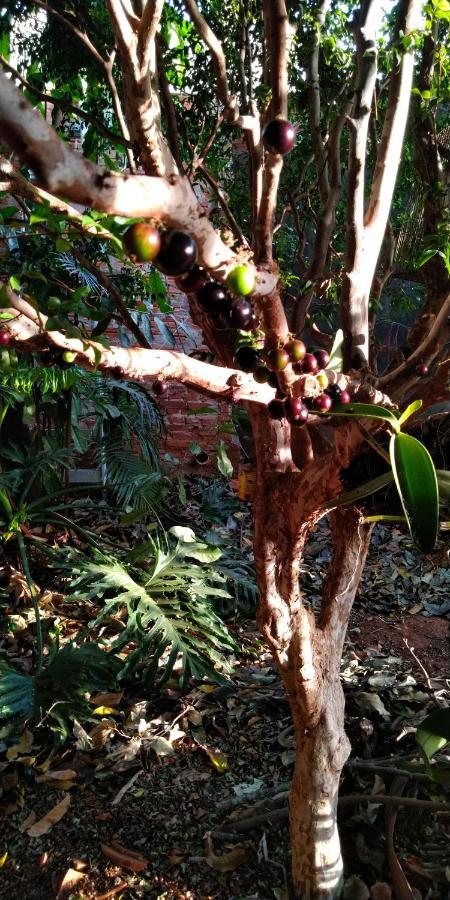 Cafe Com Arte Pousada Ecologica Botucatu Exteriér fotografie